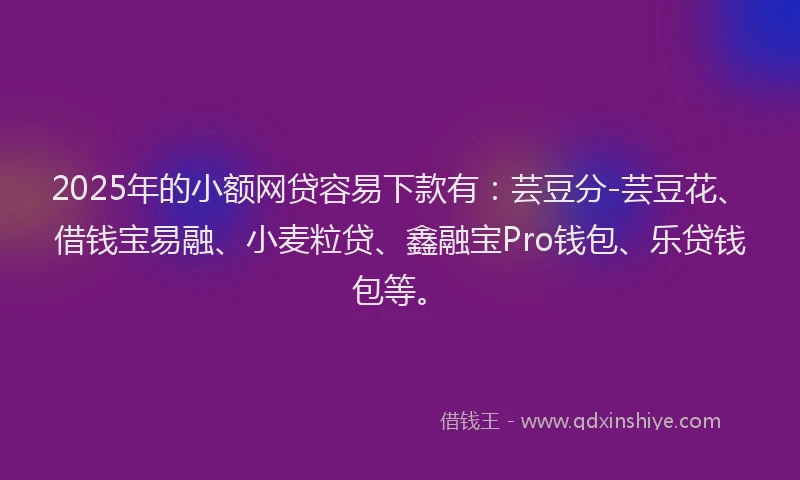 2025年的小额网贷容易下款有:芸豆分-芸豆花、借钱宝易融、小麦粒贷、鑫融宝Pro钱包、乐贷钱包等。