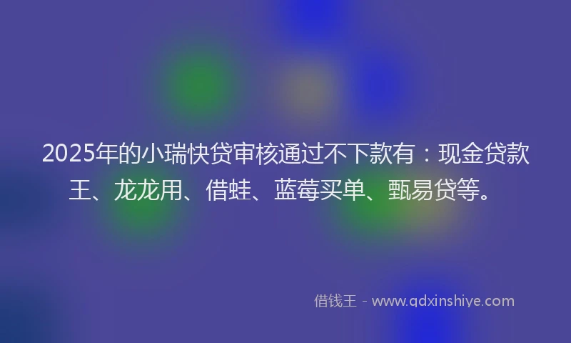 2025年的小瑞快贷审核通过不下款有：现金贷款王、龙龙用、借蛙、蓝莓买单、甄易贷等。