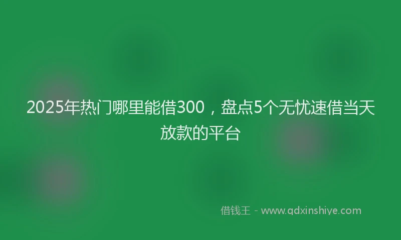 2025年热门哪里能借300，盘点5个无忧速借当天放款的平台