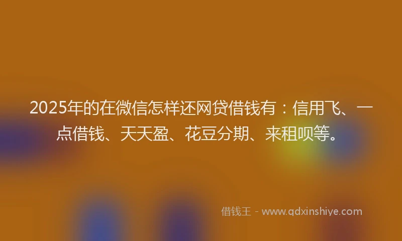2025年的在微信怎样还网贷借钱有：信用飞、一点借钱、天天盈、花豆分期、来租呗等。