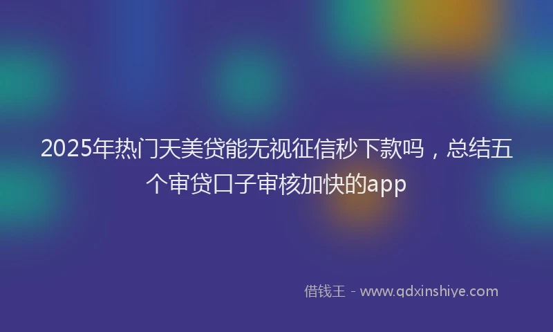 2025年热门天美贷能无视征信秒下款吗，总结五个审贷口子审核加快的app