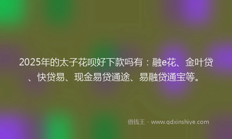 2025年的太子花呗好下款吗有：融e花、金叶贷、快贷易、现金易贷通途、易融贷通宝等。