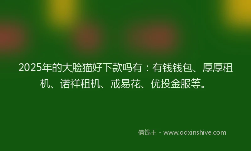2025年的大脸猫好下款吗有：有钱钱包、厚厚租机、诺祥租机、戒易花、优投金服等。