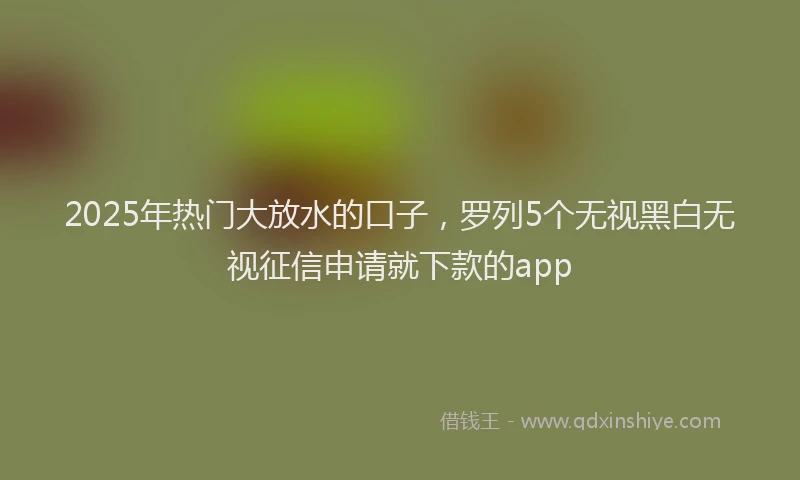 2025年热门大放水的口子，罗列5个无视黑白无视征信申请就下款的app