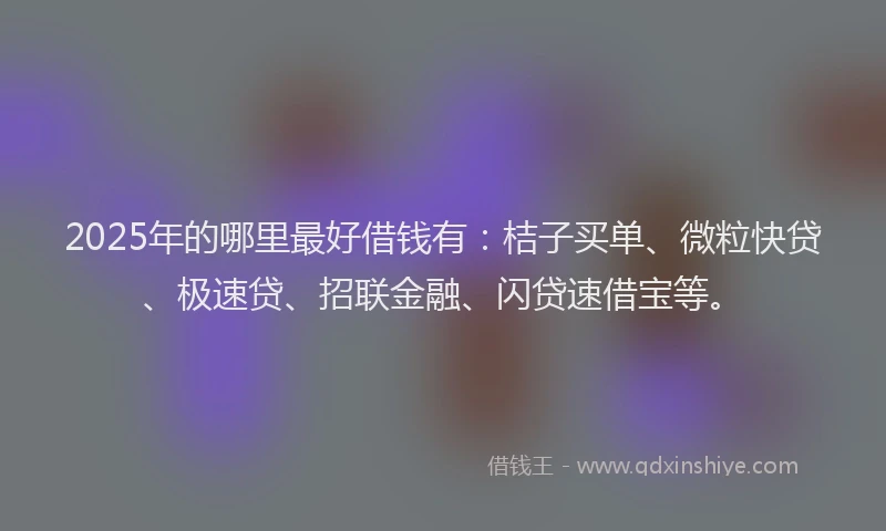 2025年的哪里最好借钱有：桔子买单、微粒快贷、极速贷、招联金融、闪贷速借宝等。