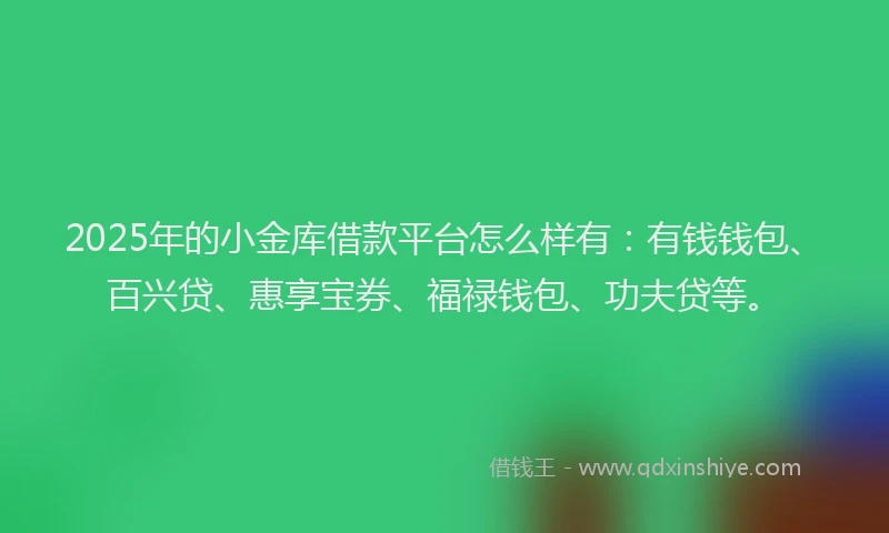 2025年的小金库借款平台怎么样有：有钱钱包、百兴贷、惠享宝券、福禄钱包、功夫贷等。