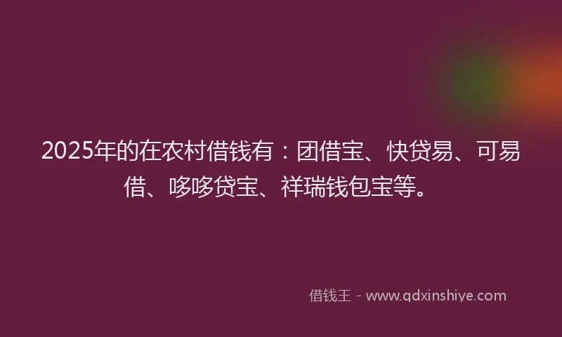 2025年的在农村借钱有：团借宝、快贷易、可易借、哆哆贷宝、祥瑞钱包宝等。
