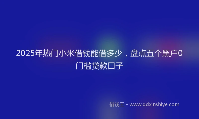 2025年热门小米借钱能借多少，盘点五个黑户0门槛贷款口子