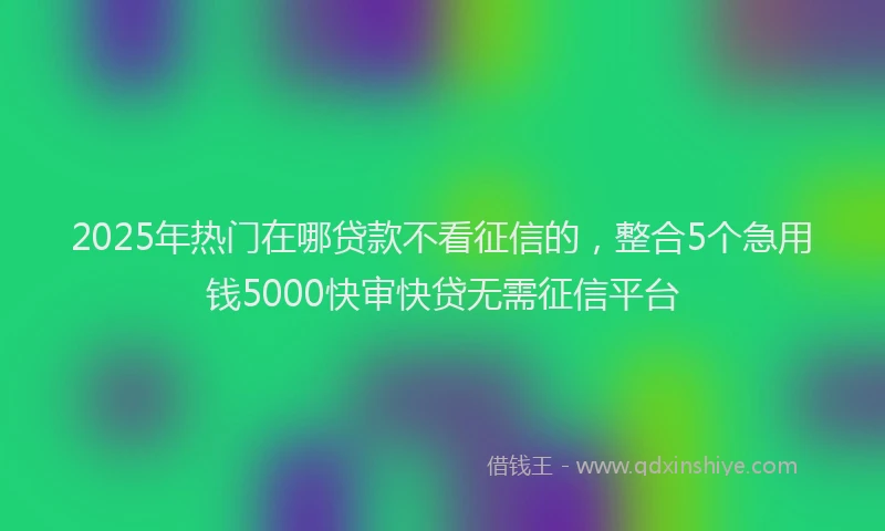 2025年热门在哪贷款不看征信的，整合5个急用钱5000快审快贷无需征信平台