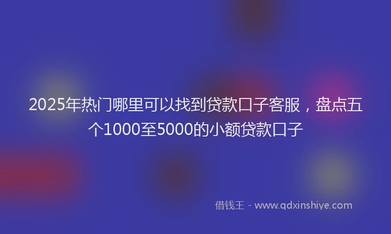 2025年热门哪里可以找到贷款口子客服，盘点五个1000至5000的小额贷款口子