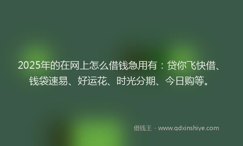 2025年的在网上怎么借钱急用有：贷你飞快借、钱袋速易、好运花、时光分期、今日购等。