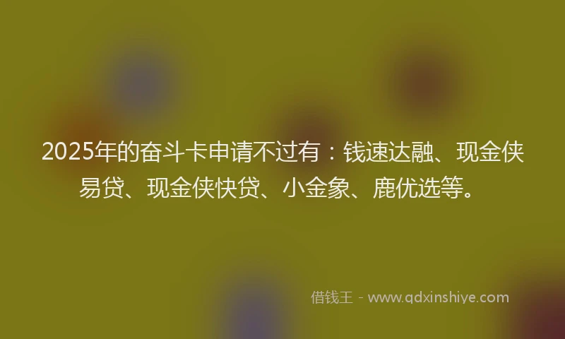 2025年的奋斗卡申请不过有：钱速达融、现金侠易贷、现金侠快贷、小金象、鹿优选等。