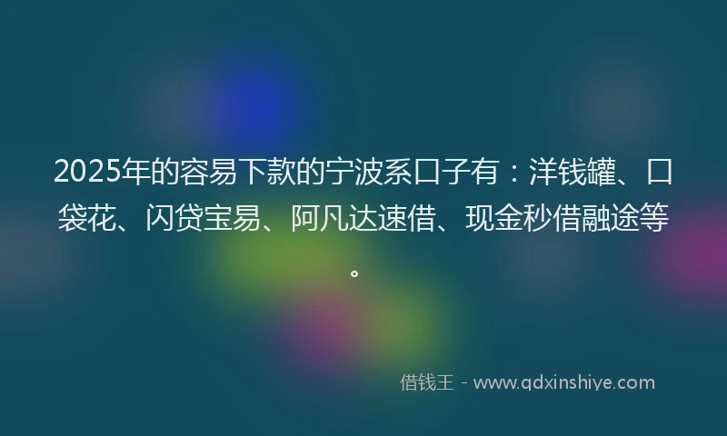 2025年的容易下款的宁波系口子有：洋钱罐、口袋花、闪贷宝易、阿凡达速借、现金秒借融途等。