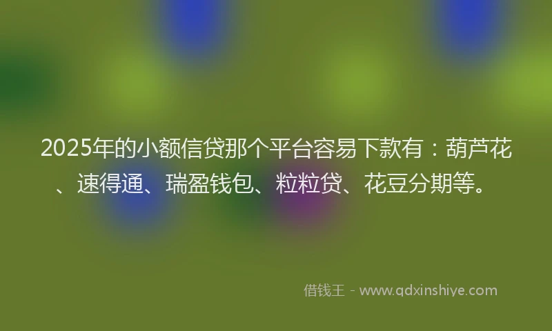2025年的小额信贷那个平台容易下款有：葫芦花、速得通、瑞盈钱包、粒粒贷、花豆分期等。