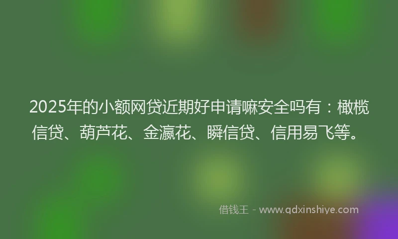 2025年的小额网贷近期好申请嘛安全吗有：橄榄信贷、葫芦花、金瀛花、瞬信贷、信用易飞等。