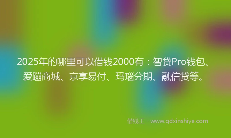 2025年的哪里可以借钱2000有：智贷Pro钱包、爱蹦商城、京享易付、玛瑙分期、融信贷等。