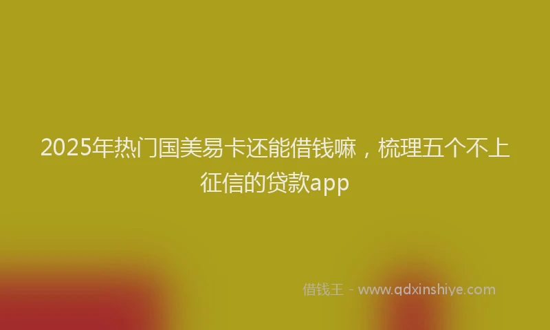 2025年热门国美易卡还能借钱嘛，梳理五个不上征信的贷款app