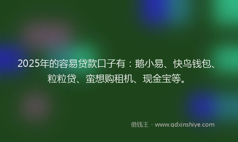 2025年的容易贷款口子有:鹅小易、快鸟钱包、粒粒贷、蛮想购租机、现金宝等。
