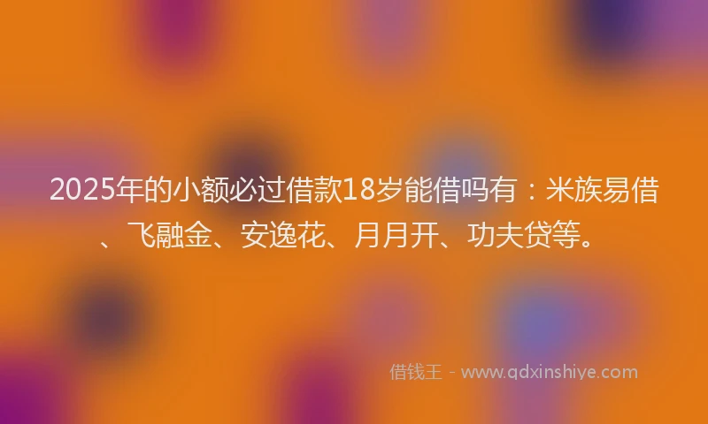 2025年的小额必过借款18岁能借吗有：米族易借、飞融金、安逸花、月月开、功夫贷等。