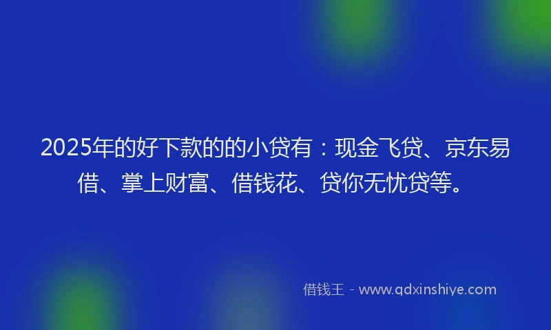 2025年的好下款的的小贷有：现金飞贷、京东易借、掌上财富、借钱花、贷你无忧贷等。