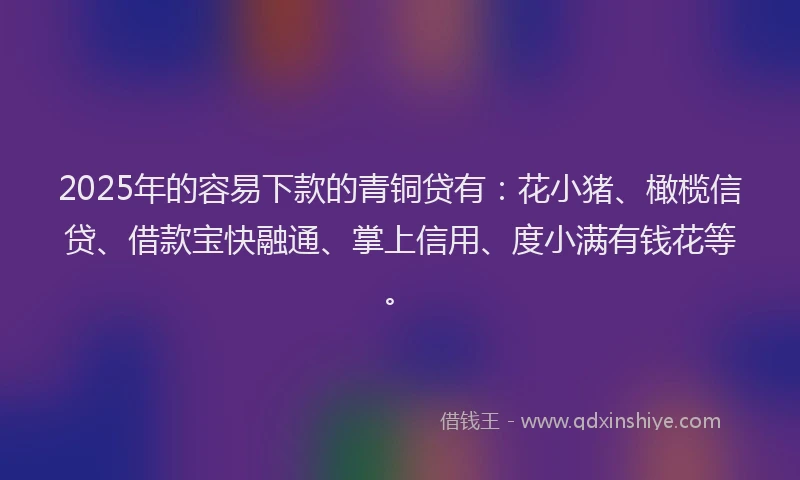 2025年的容易下款的青铜贷有：花小猪、橄榄信贷、借款宝快融通、掌上信用、度小满有钱花等。