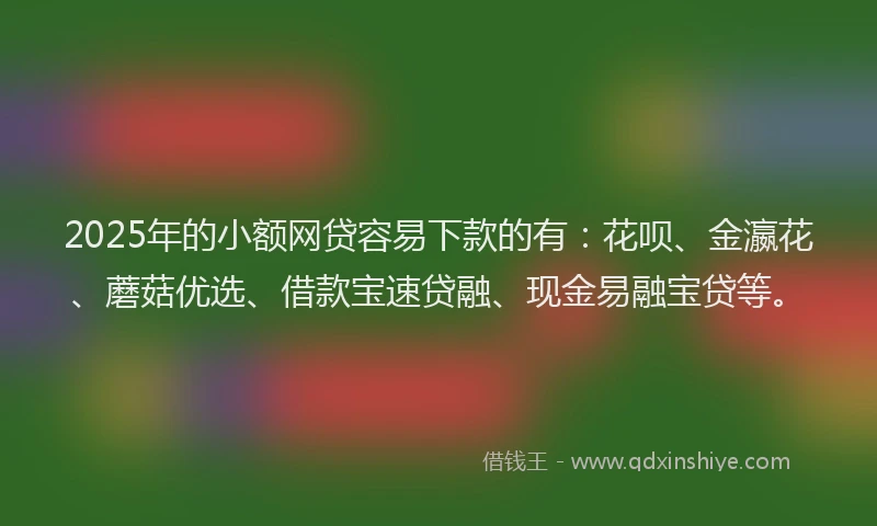 2025年的小额网贷容易下款的有：花呗、金瀛花、蘑菇优选、借款宝速贷融、现金易融宝贷等。