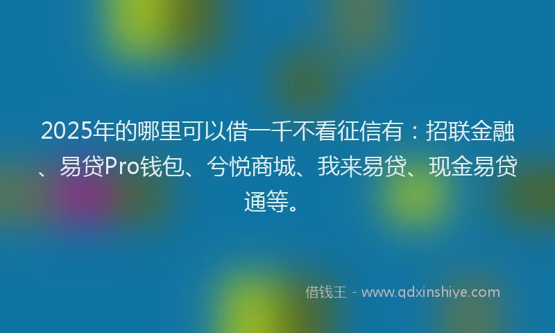 2025年的哪里可以借一千不看征信有：招联金融、易贷Pro钱包、兮悦商城、我来易贷、现金易贷通等。