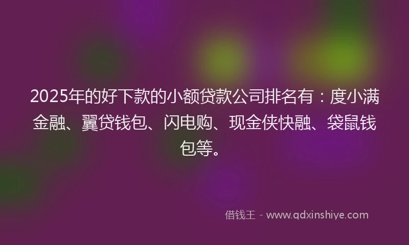 2025年的好下款的小额贷款公司排名有：度小满金融、翼贷钱包、闪电购、现金侠快融、袋鼠钱包等。