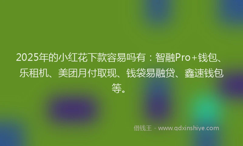 2025年的小红花下款容易吗有:智融Pro+钱包、乐租机、美团月付取现、钱袋易融贷、鑫速钱包等。