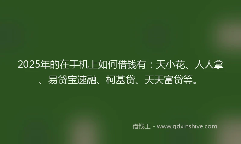 2025年的在手机上如何借钱有：天小花、人人拿、易贷宝速融、柯基贷、天天富贷等。