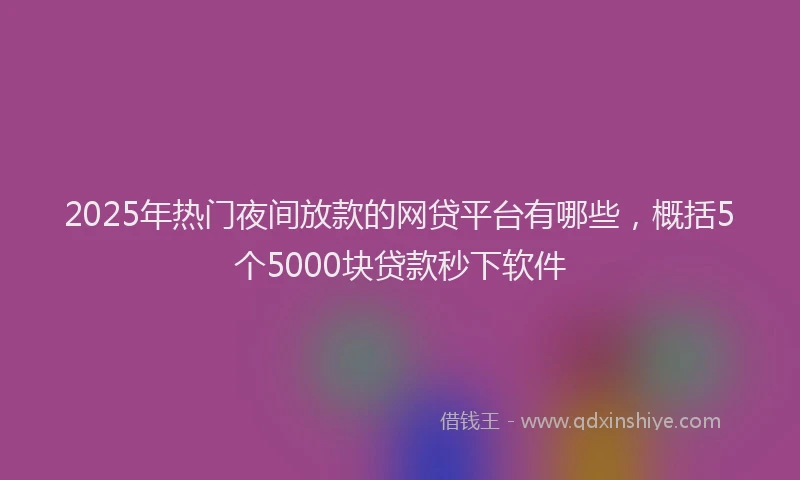 2025年热门夜间放款的网贷平台有哪些，概括5个5000块贷款秒下软件