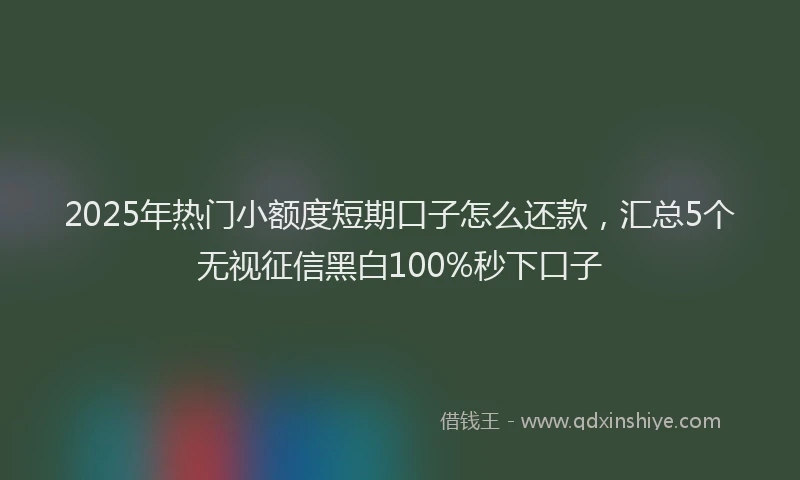 2025年热门小额度短期口子怎么还款，汇总5个无视征信黑白100%秒下口子
