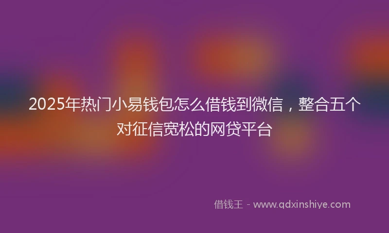2025年热门小易钱包怎么借钱到微信，整合五个对征信宽松的网贷平台