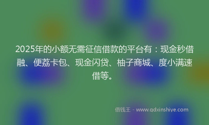 2025年的小额无需征信借款的平台有：现金秒借融、便荔卡包、现金闪贷、柚子商城、度小满速借等。