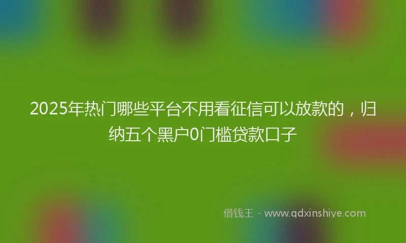 2025年热门哪些平台不用看征信可以放款的，归纳五个黑户0门槛贷款口子