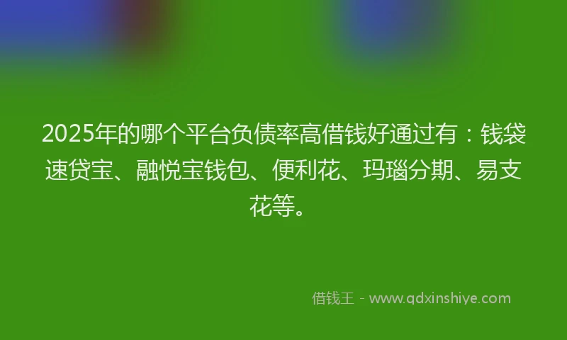 2025年的哪个平台负债率高借钱好通过有：钱袋速贷宝、融悦宝钱包、便利花、玛瑙分期、易支花等。