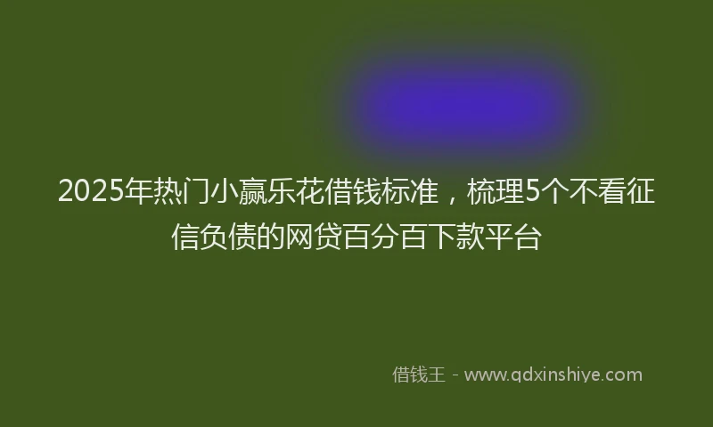 2025年热门小赢乐花借钱标准，梳理5个不看征信负债的网贷百分百下款平台