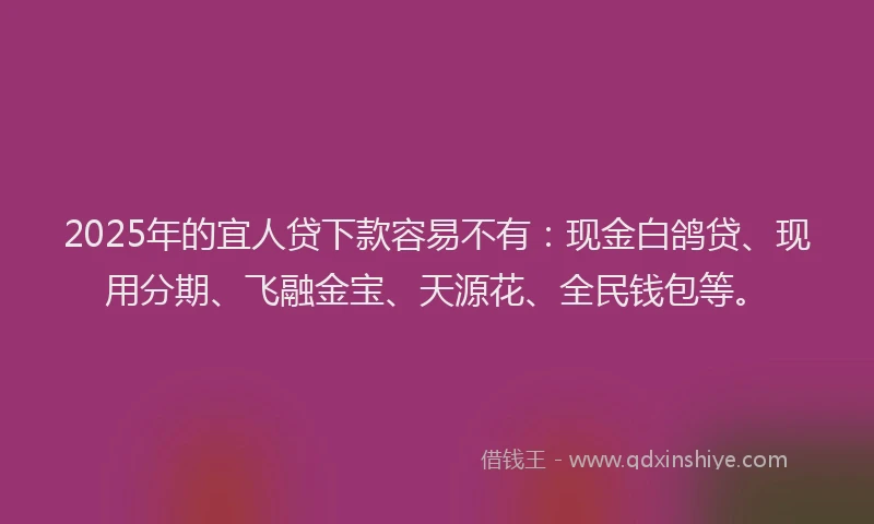 2025年的宜人贷下款容易不有:现金白鸽贷、现用分期、飞融金宝、天源花、全民钱包等。