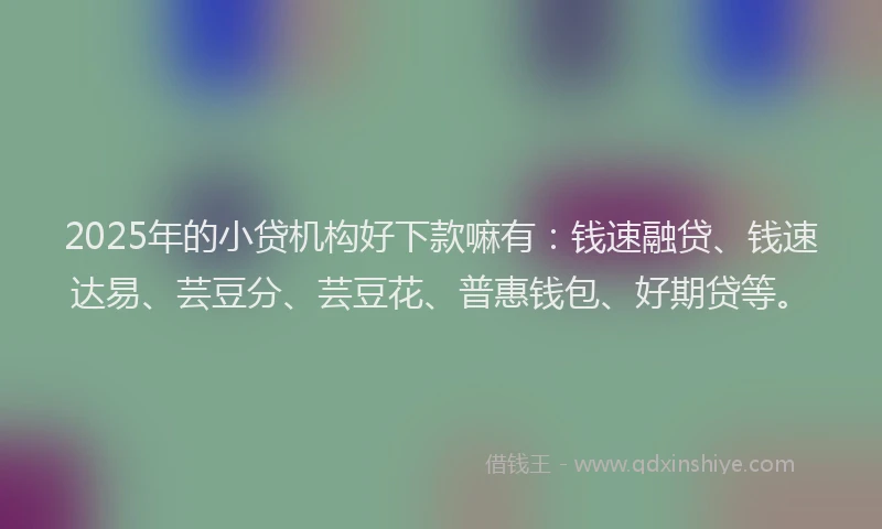 2025年的小贷机构好下款嘛有：钱速融贷、钱速达易、芸豆分、芸豆花、普惠钱包、好期贷等。
