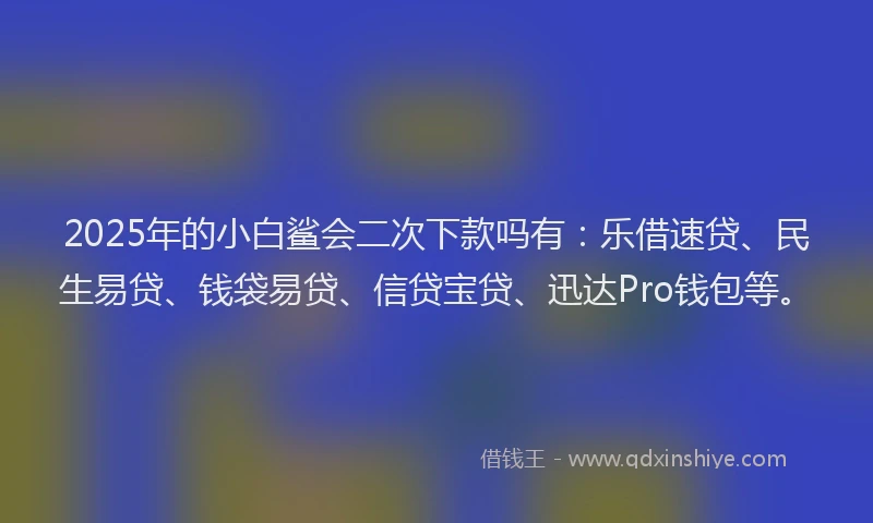 2025年的小白鲨会二次下款吗有：乐借速贷、民生易贷、钱袋易贷、信贷宝贷、迅达Pro钱包等。