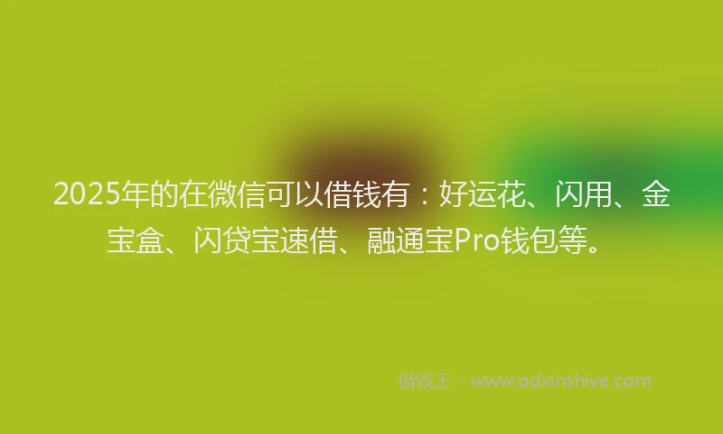 2025年的在微信可以借钱有：好运花、闪用、金宝盒、闪贷宝速借、融通宝Pro钱包等。