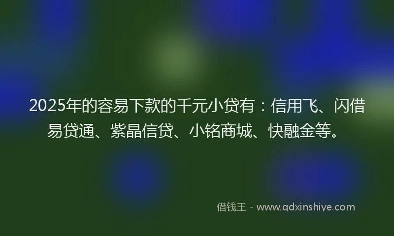 2025年的容易下款的千元小贷有:信用飞、闪借易贷通、紫晶信贷、小铭商城、快融金等。