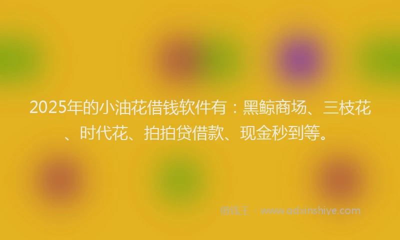2025年的小油花借钱软件有：黑鲸商场、三枝花、时代花、拍拍贷借款、现金秒到等。