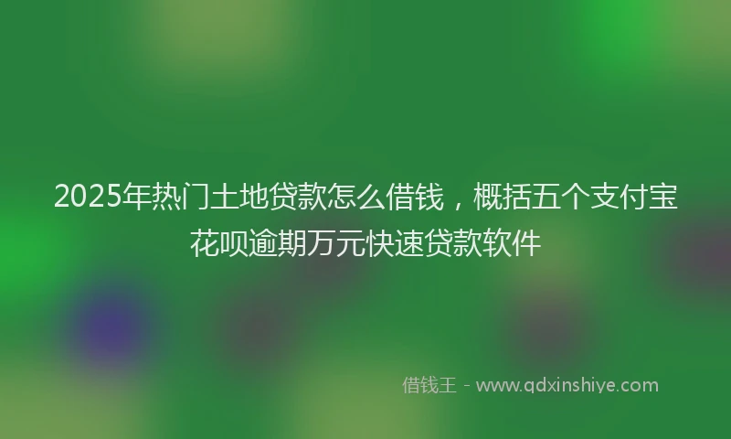 2025年热门土地贷款怎么借钱，概括五个支付宝花呗逾期万元快速贷款软件