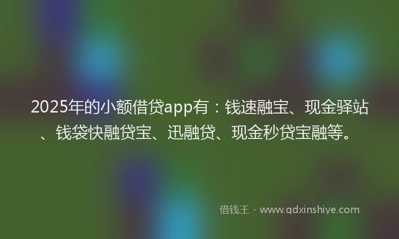 2025年的小额借贷app有：钱速融宝、现金驿站、钱袋快融贷宝、迅融贷、现金秒贷宝融等。