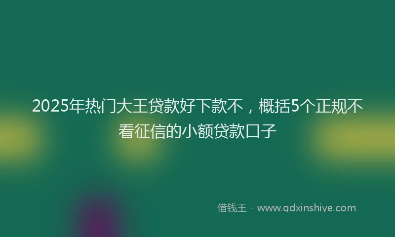 2025年热门大王贷款好下款不，概括5个正规不看征信的小额贷款口子