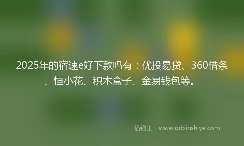 2025年的宿速e好下款吗有：优投易贷、360借条、恒小花、积木盒子、金易钱包等。