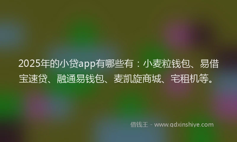 2025年的小贷app有哪些有：小麦粒钱包、易借宝速贷、融通易钱包、麦凯旋商城、宅租机等。