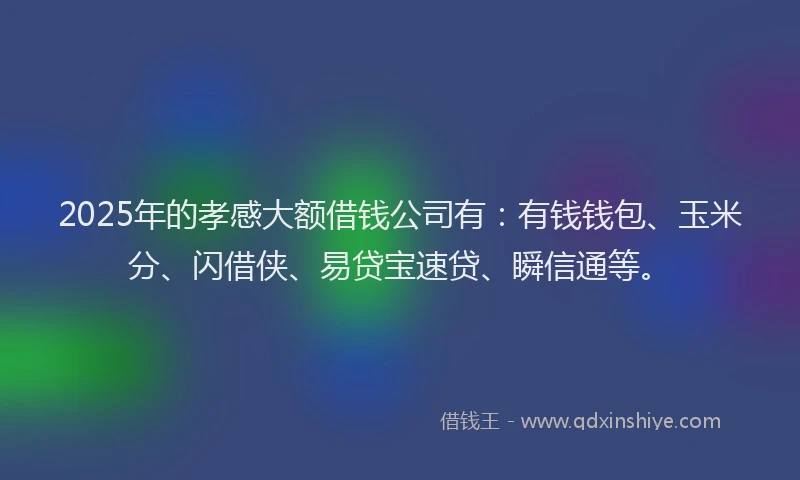 2025年的孝感大额借钱公司有：有钱钱包、玉米分、闪借侠、易贷宝速贷、瞬信通等。