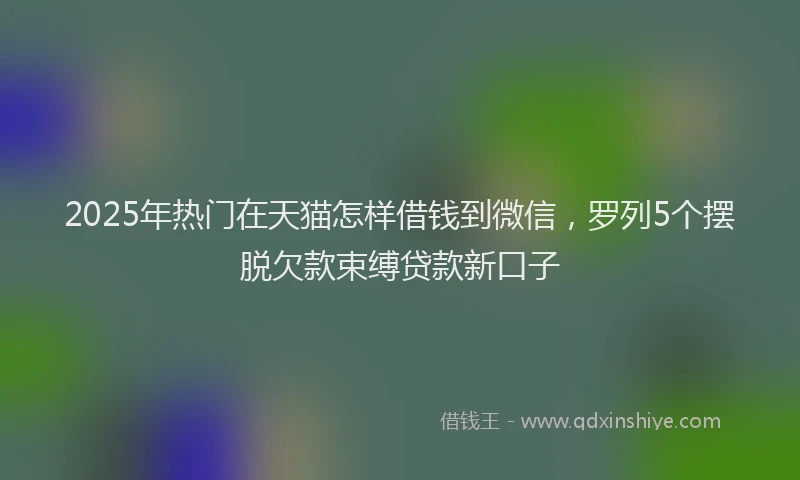 2025年热门在天猫怎样借钱到微信，罗列5个摆脱欠款束缚贷款新口子